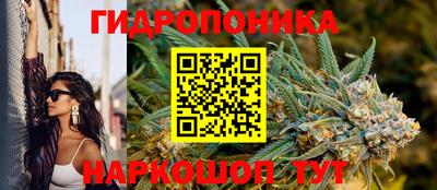 спайс Донской
