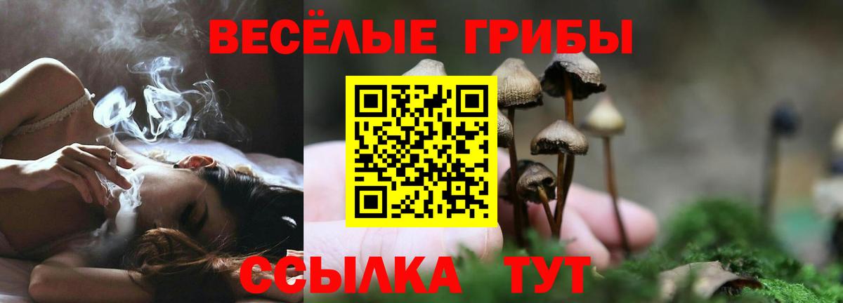 Галлюциногенные грибы MAGIC MUSHROOMS  даркнет сайт  Петрозаводск  Галлюциногенные грибы GOLDEN TEACHER  Вход с VPN 